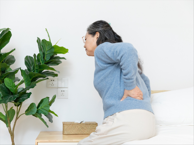 1720769325815633.jpg 3630032802.jpg